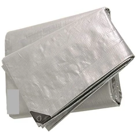 TELONE OCCHIELLATO5X6 MT- tipo pesante 180GR/mq - Rinforzato telo argento