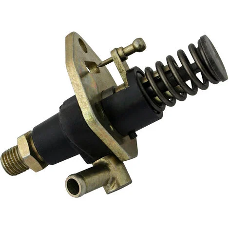 Pezzo di ricambio per motore diesel Pompa versione 2 per 10 CV
