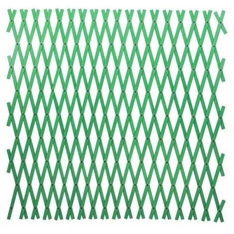 TRALICCIO PAPILLON PLASTICA MT 4X1 ESTENSIBILE PER GIARDINO COLORE VERDE (38581)