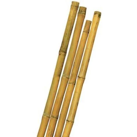 Tutore Canna Bamboo Mm 10/12 H.Cm 120 - Conf. 10 Pz