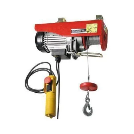 Paranco/Argano/Montacarico/Montacarichi elettrico 100/200Kg