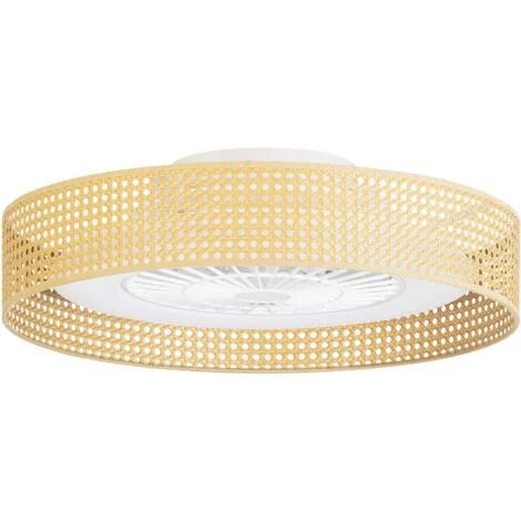 Bea Ventilatore a soffitto con luce LED. Silenzioso. 6 velocità. Regolatore di Intensità e Temperatura del Colore. Vimini.