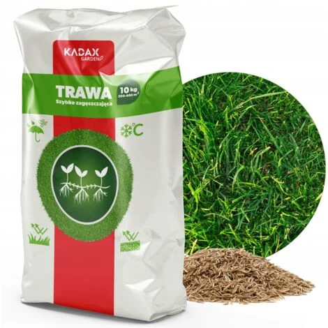 KADAX Semi di erba universale Ispessimento rapido Prato resistente 10 kg 400 M2