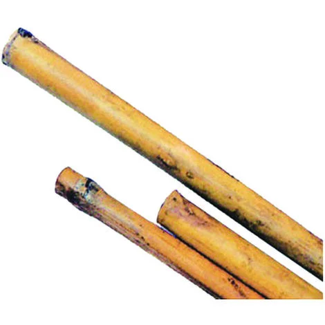 CANNA BAMBOO- - mm.24/26 h.180 - 50 pezzi T-REX