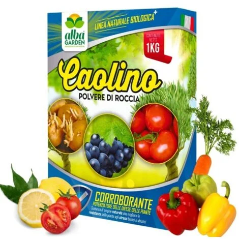 Caolino Polvere di Roccia Corroborante per Agricoltura Biologica Protezione Naturale da Insetti, Funghi Acari, Riduce il fabbisogno idrico e le Ustioni Solari, Polvere x 1 kg