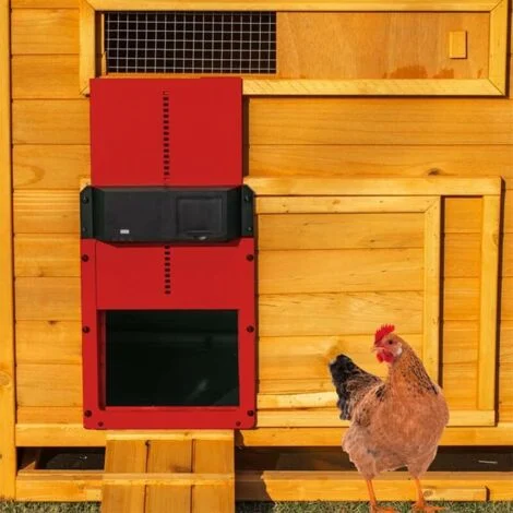 Apriporta per pollaio con sensore di luce, porta automatica per polli, allevamento sicuro di polli (rosso)