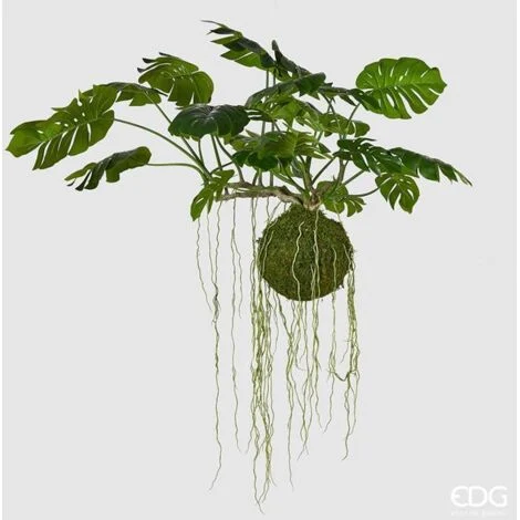EDG Pianta Da Appendere Monstera Bell H 140 cm
