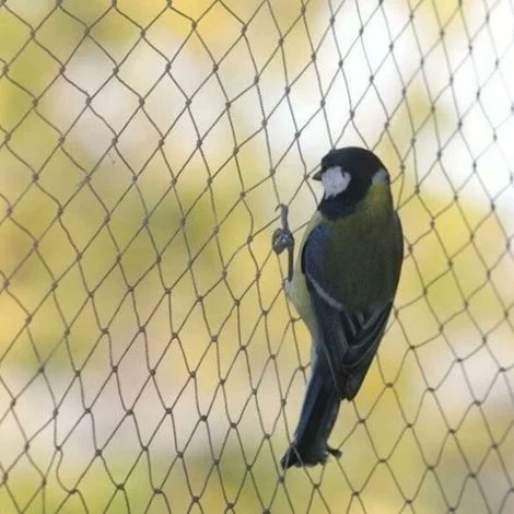 Rete di protezione per uccelli, 10 x 6 m di larghezza, robusta rete protettiva per laghetti da giardino, per frutta e verdura.