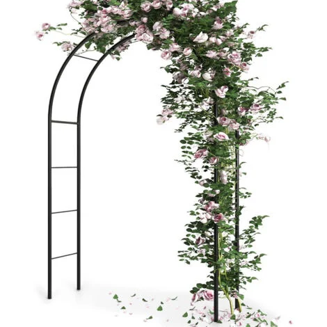 Pergolato da giardino in metallo per rose, fiori, edera, rampicanti, piante