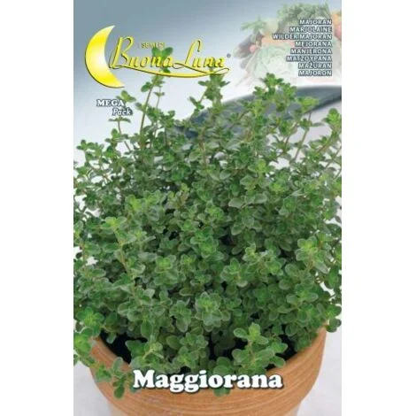 SEMI ORTO MAGGIORANA