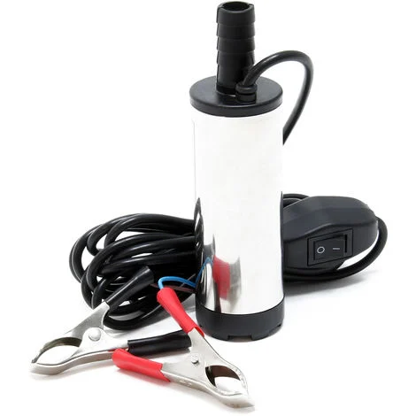Pompa 12 V per acqua e diesel 12l/min 8700 giri/min per trasferimento liquidi