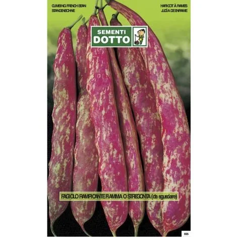 SEMENTI FAGIOLO BORLOTTO FIAMMA RAMPICANTE