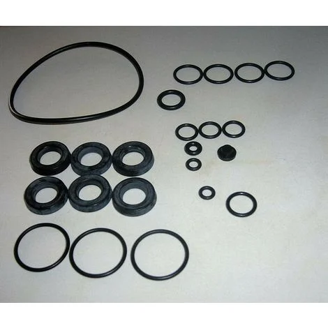 KIT OR ORING POMPA IDROPULITRICEANNOVI REVERBERI 42438 ORIGINALE