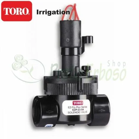 TORO 1H SENZA REGISTRAZIONE EZP 03 54OFFERTA ESCLUSIVA