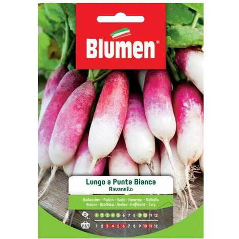 SEMI DI RAVANELLO LUNGO PUNTA BIANCA BLUMEN