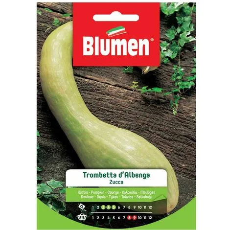 SEMI ZUCCA TROMBETTA D'ALBENGA BLUMEN
