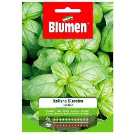 SEMI BASILICO ITALIANO CLASSICO GENOVESE BLUMEN