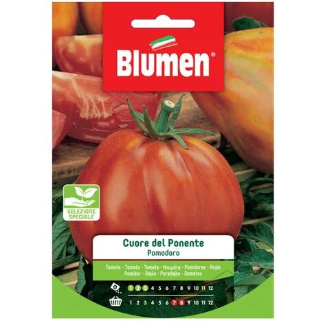 SEMI POMODORO CUORE DEL PONENTE BLUMEN