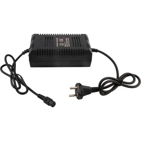Caricabatterie da 36 V per scooter e biciclette elettriche, connettore maschio a 3 pin