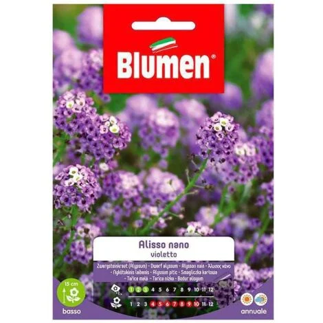 BUSTINA CON SEMI DI ALISSO VIOLETTO NANO