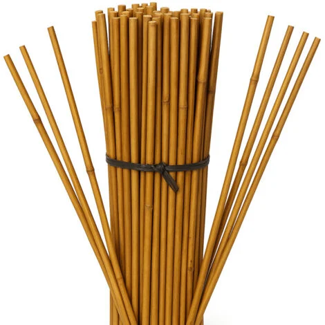 Set di 100 Tutori in Bambù per Piante 210 cm (16-18 mm) – Canne di Bambù, Supporti per Ortaggi, Pomodori, Alberi e Giardinaggio