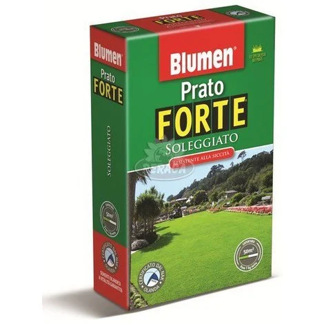 PRATO FORTE SOLEGGIATO 1KG