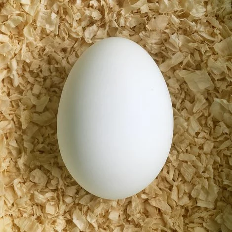 Uovo Finto Di Gallina In CeramicaColore Bianco