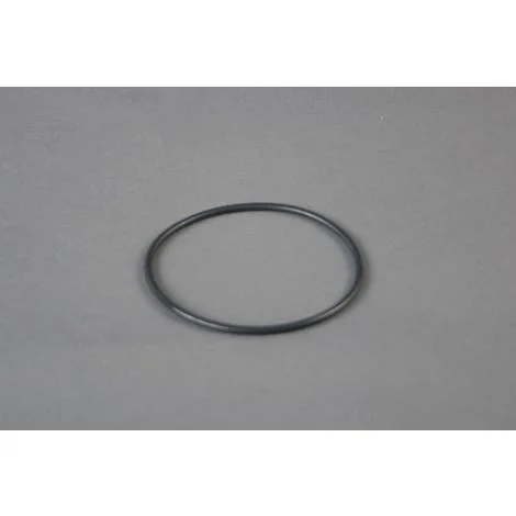 INTEX GUARNIZIONE FILTRO POMPA SABBIA 28646/28648/28652 (11824)