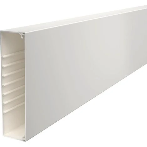 OBO Bettermann Canalina da parete e soffitto con foratura sul fondo 60x230x2000 Polivinilcloruro bianco puro RAL 9010, 6191274