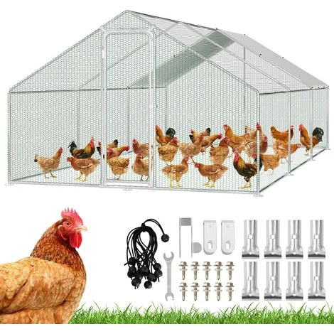 Randaco Pollaio 3×6×2 m – Recinto per piccoli animali, voliera esterna, gabbia per polli in acciaio zincato con porta