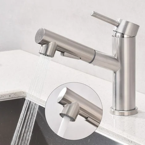 Rubinetto cucina/bagno inox spazzolato estraibile con doccetta, miscelatore monocomando 2 tipi di getto, miscelatore lavabo cucina e lavello, facile installazione