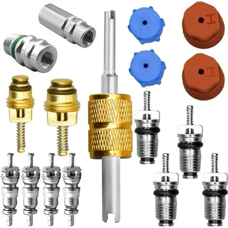 Kit nucleo valvola aria condizionata, incluso nucleo valvola sistema di refrigerazione A/C, tappo di tenuta porta di servizio AC, strumento di rimozione nucleo valvola, valvole di servizio A/C