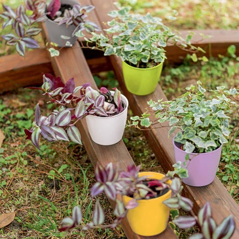 VASO ACADEMY LUX Ø11CM COLORE ASSORTITO