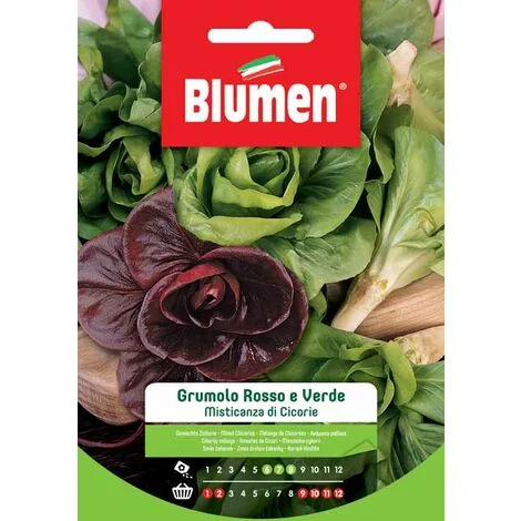 SEMI MISTICANZA DI CICORIE GRUMOLO ROSSO E VERDE BLUMEN