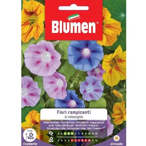 SEMI FIORI RAMPICANTI IN MIX BLUMEN