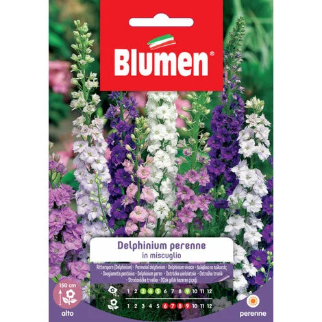 Semi Blumen delphinium perenne