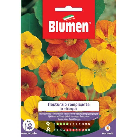 Semi Blumen nasturzio rampicante