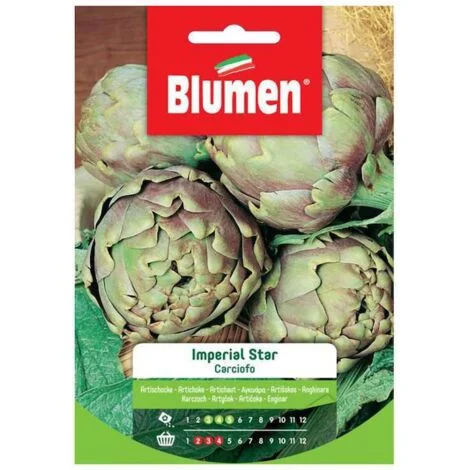 Blumen Semi di Carciofo Imperial Star