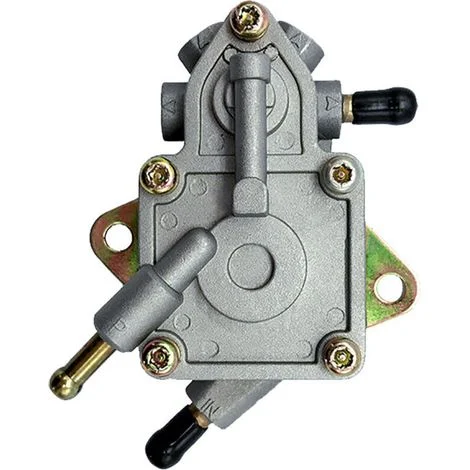Pompa carburante per moto compatibile con Buyang Feishen D300 H300 G300 300cc JCL Linhai 260cc 260 Manco Talon ATV Quad