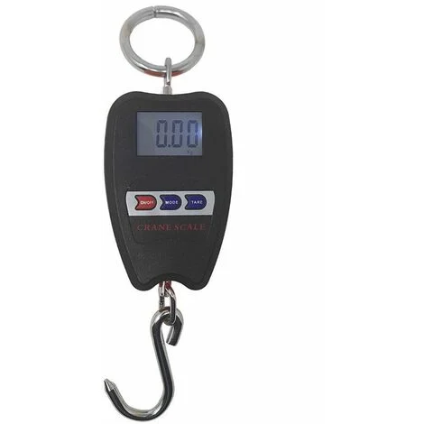 Bilancia Digitale Dinamometro 200Kg Gancio Molla Professionale