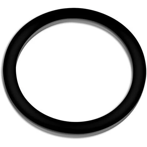 SunSun Pezzo di ricambio: guarnizione 2 per pompe per piscine HZS-200 300