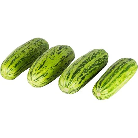 Semi di carosello "Scopatizzo barese" piante per orto e giardino