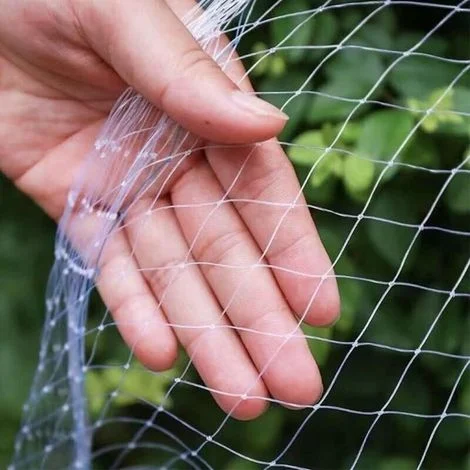 Rete anti-uccelli per giardino e piscina – 5 x 5 m, maglia quadrata da 2,5 cm, resistente ai raggi UV, materiale anti-invecchiamento