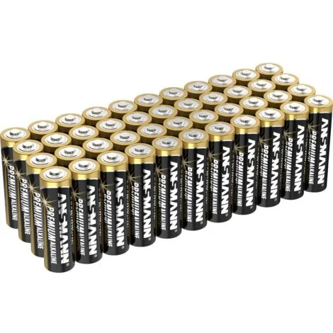 Ansmann LR06 Batteria Stilo (AA) Alcalina/manganese 1.5 V 44 pz.