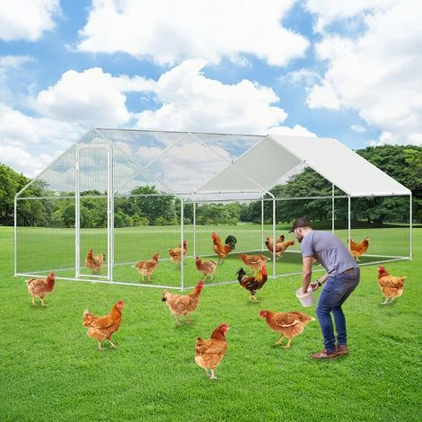 Wolketon Pollaio 3×6×2 m – Recinto per piccoli animali, voliera esterna, gabbia per polli in acciaio zincato