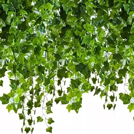 EDERA ARTIFICIALE ”XL” 50,4m NR:1465
