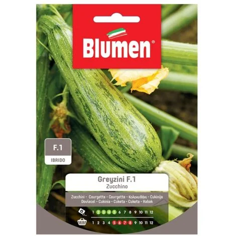 SEMI ZUCCHINO GREYZINI