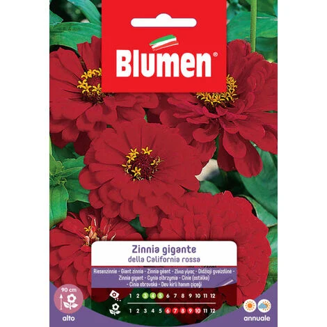 SEMI ZINNIA GIGANTE DELLA CALIFORNIA ROSSA
