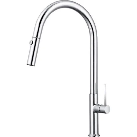 Swiss Aqua Technologies Miscelatore monocomando con doccetta estraibile e braccio orientabile, 2 getti, Cromo (SATBSD288)