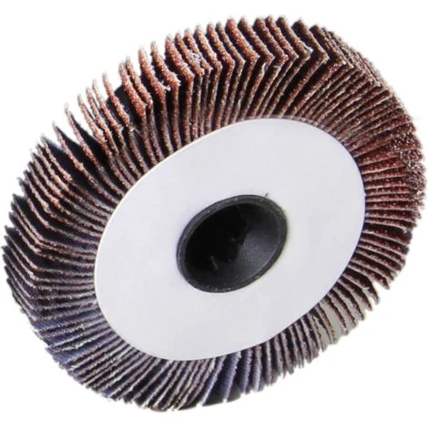 spazzola lamellare per spazzolatrice valex "s310" 10 mm